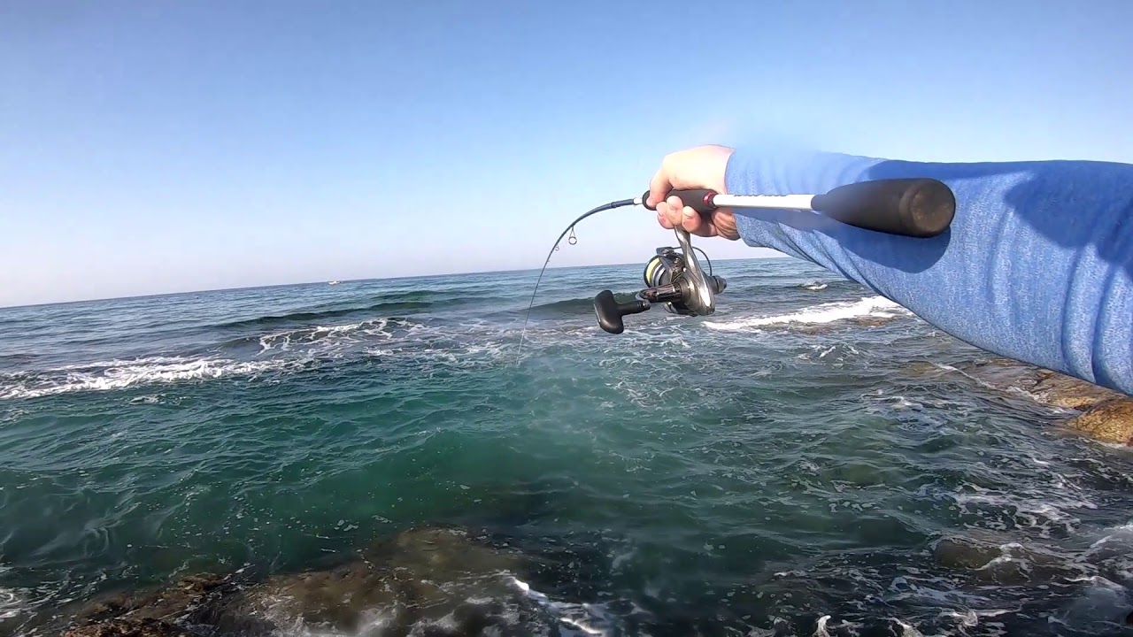 Light Rock Fishing Cyprus Barracuda YouTube