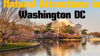 TOP 15 Natural Attractions in Washington DC - Nature Parks Gardens