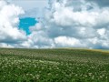 作業用・リラックス用・胎教用BGMクラシック モーツアルトの落ち着ける曲をセレクト Mozart Classical Music selects for relaxing