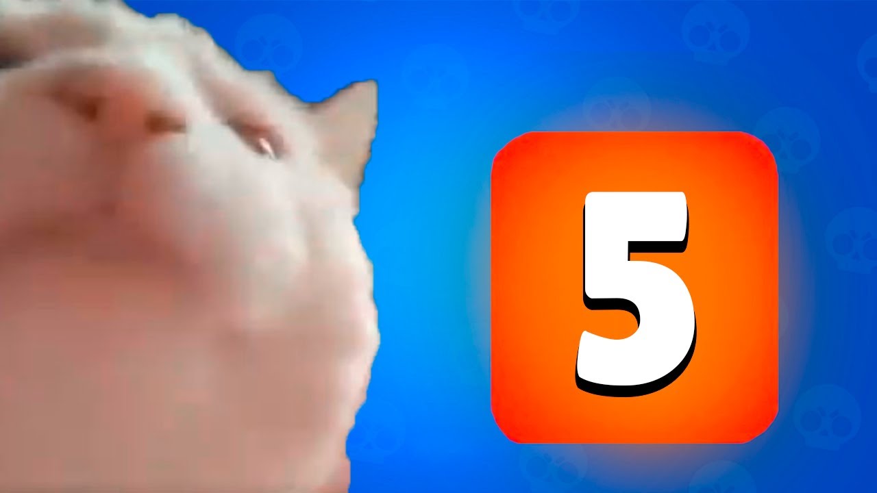 Box opening pains in a nutshell 3 | Seriously? 🐾