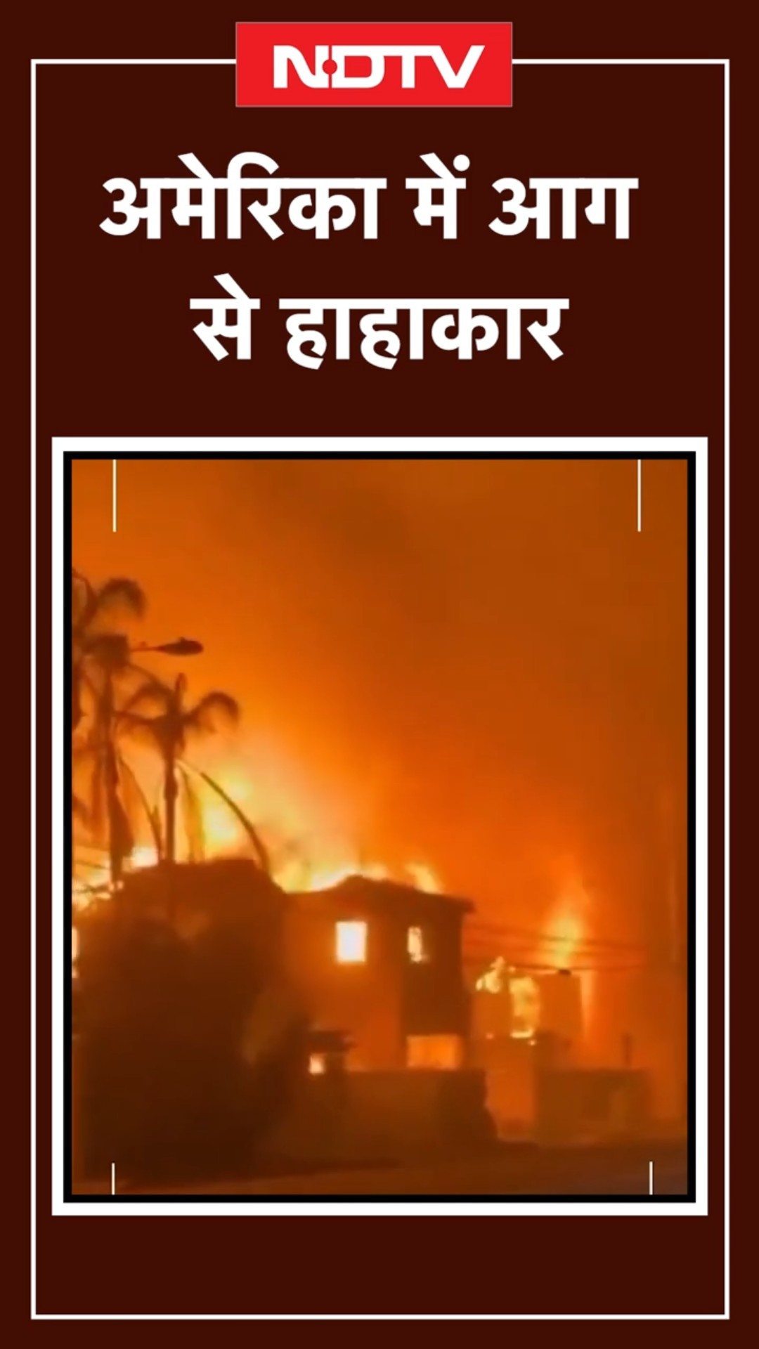 California Wildlife Fire: America में आग से हाहाकार | Los Angeles | Wildlife 2025 | SHORTS