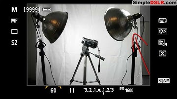 F Stop and Stops of Light: Photography Definition of F Numbers and Fstops