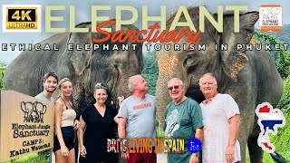 Elephant Jungle Sanctuary | Elephants in Phuket, Thailand | Ethical Elephant Tourism