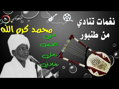 حتى الطيف رحل خلاني كلمات محمد سعيد دفع الله غناء محمد كرم الله تصميم الكجوكابي