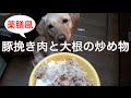 犬ご飯作り方から：大根と挽き肉の炒め煮。クコの実入りで薬膳風。