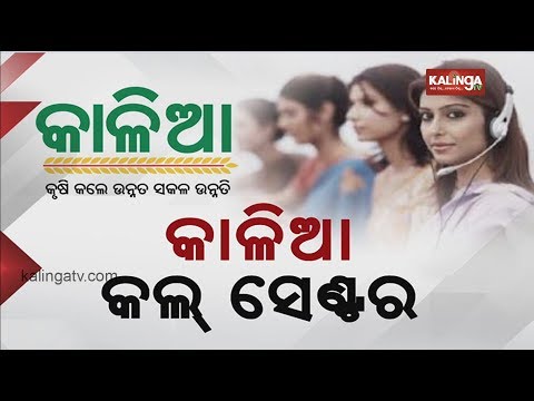 KALIA Call Centre for farmers to remain open 24/7: CM Naveen Patnaik | Kalinga TV