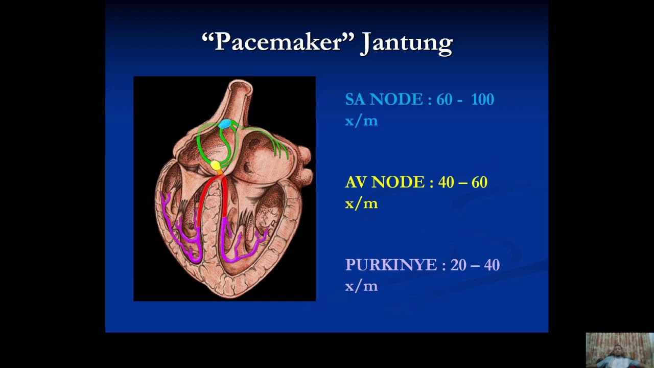 Kuliah Dasar EKG - dr. Yose Ramda Ilhami, Sp.JP