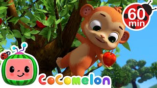 Grow Grow Grow Your Fruit | CoComelon Animal Time | Animal Nursery Rhymes