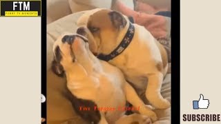 Funny Videos 2018 - Try To Not Laugh Challenge - All Of Vines - Comp Fails