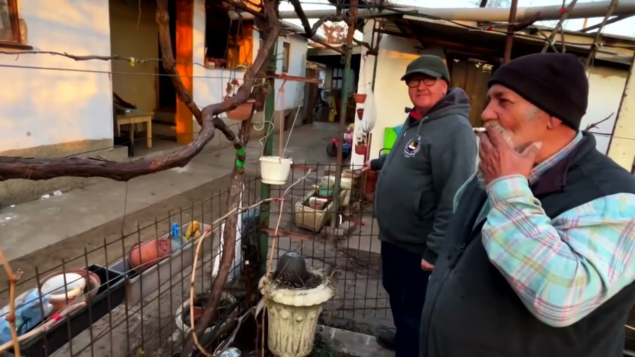 Csemegeszőlő a kiskertben Kovács Matyival 10_1 rész Vessző harácsolás László Janinál.