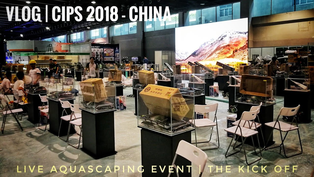 VLOG | Kick Off of CIPS 2018 LIVE CONTEST