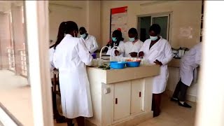 Lutte contre le paludisme : au Cameroun, un pesticide contre la transmission de la maladie