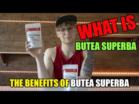 BUTEA SUPERBA | Supplement Series Episode Two | The Benefits