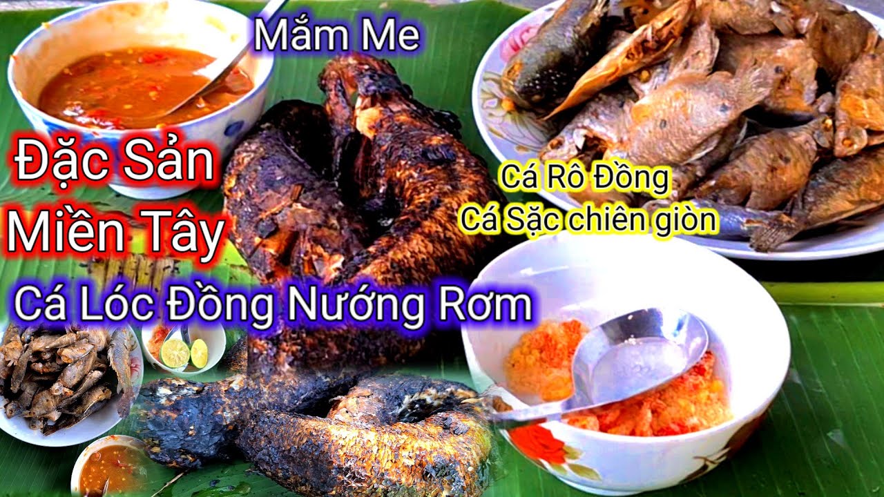 Cá Lóc Đồng Nướng Rơm,Cá Sặc cá Rô Đồng chiên xù chấm Mắm Me.Đặc Sản ...