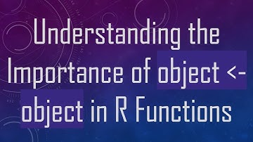 Understanding the Importance of object  - object in R Functions