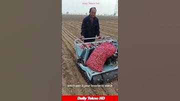 Genius Garlic Planting Machine! 🌱 #GarlicFarming