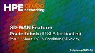 SD-WAN Feature - Route Labels - 2 - IP SLA Condition