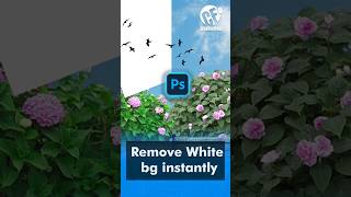 Remove White Background Instantly #photoshop #shorts #ytshorts #yt