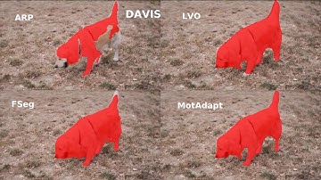 [DAVIS] Teacher-Student Adaptation for Video Segmentation via Human Robot Interaction (HRI)
