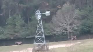 The creepiest windmill creaks