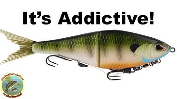 Best Glide Bait for the Money!