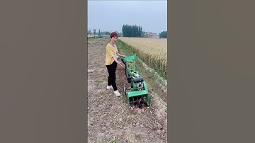 single-wheel ditching and weeding integrated machine # Peanut ridge ditch soiling & weeding #fermer