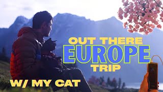 The truth about traveling the world with a cat
