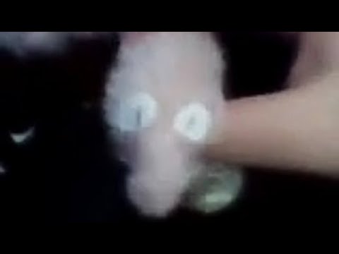 How to make a worm on a string 101!!!! Quick and easy!