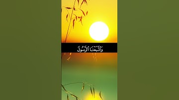 ربنا ءامنا بما أنزلت وأتبعنا الرسول.سورة آل عمران.القارئ: #سعدالغامدي #قرآن  #تلاوات #كرومات_قرآن