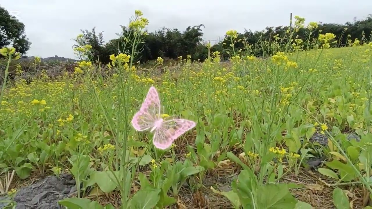 覺海虛 空起，娑婆業浪流。若人登彼岸，極樂有歸舟。中峯三時繫念第一時