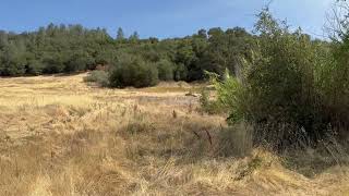 20244 Plesant Valley Rd. Video 1