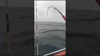 Riptide Charters