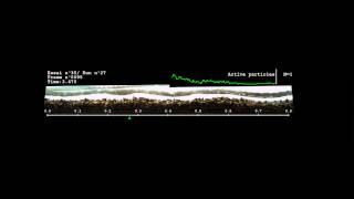 Bedload Transport analysis in small flume