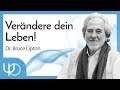 Verändere und erschaffe dir DEIN Leben. 🙌💪😀 | Bruce Lipton (deutsch)