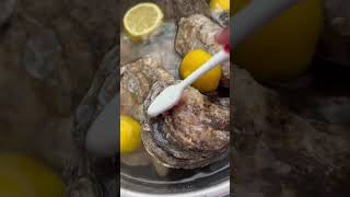 Don’t Eat Oysters Until You See This! | Easy Cleaning Hack 🦪#Seafood #Fresh #Oysters #Florida