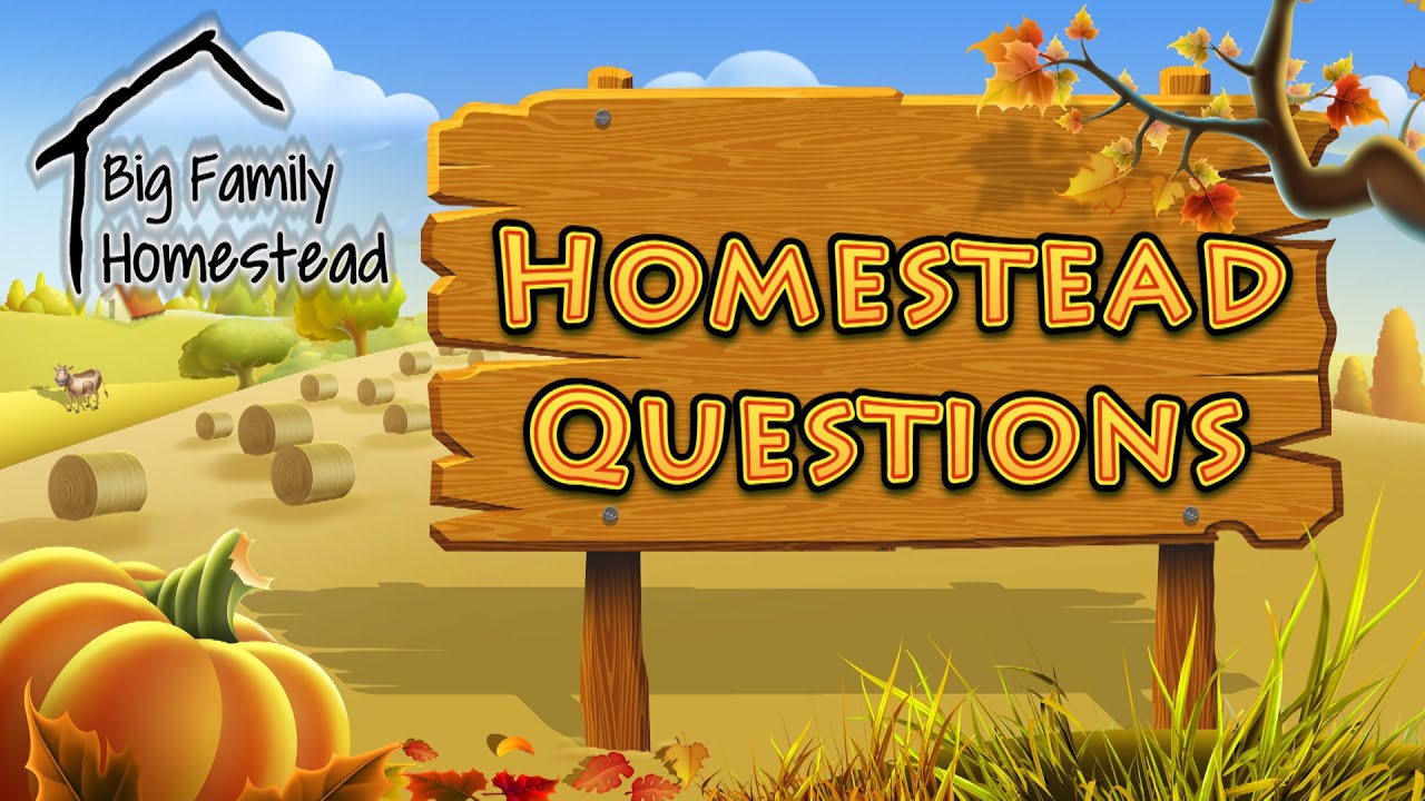 Questions For The Big Family Homestead - YouTube