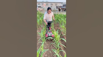 Máy cày mini máy xới đất mini máy làm cỏ nông nghiệp máy vun luống đa năng  #automobile #farming