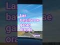 #los5minutosdelespiritusanto #viralshort #viral #amor #palabradios #viralvideo #reflexionesdeldia