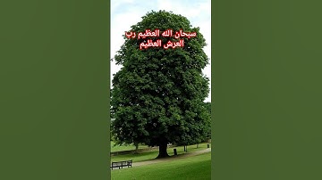#القرآن_الكريم #تلاوة #الجزائر #السعودية #المغرب #محمد_الفقيه #القرآن #quran