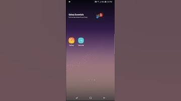 Next SMS 7.8 - Custom popup font