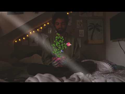 the-mupa-plant🌱-(animation-video)