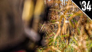 Cruising River Bottom Bucks - Ground Hunting the RUT!