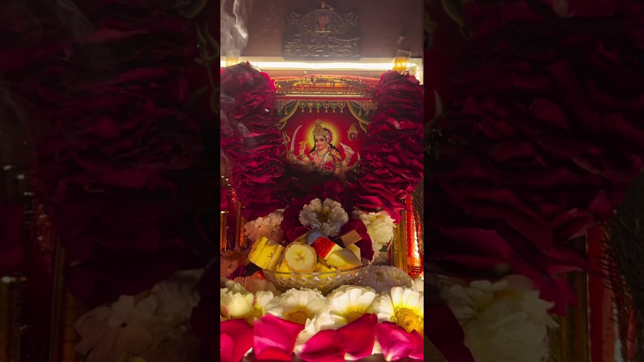 જય માં મેલડી ❤️🙏🏻👑 #jaymeldima #matajistatus #meldisarkar #explore #viral