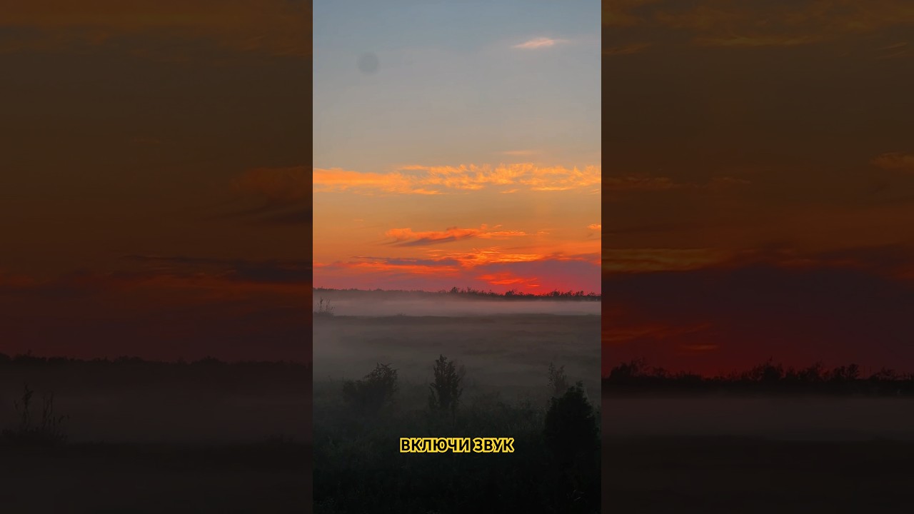 Со звуком🍑 