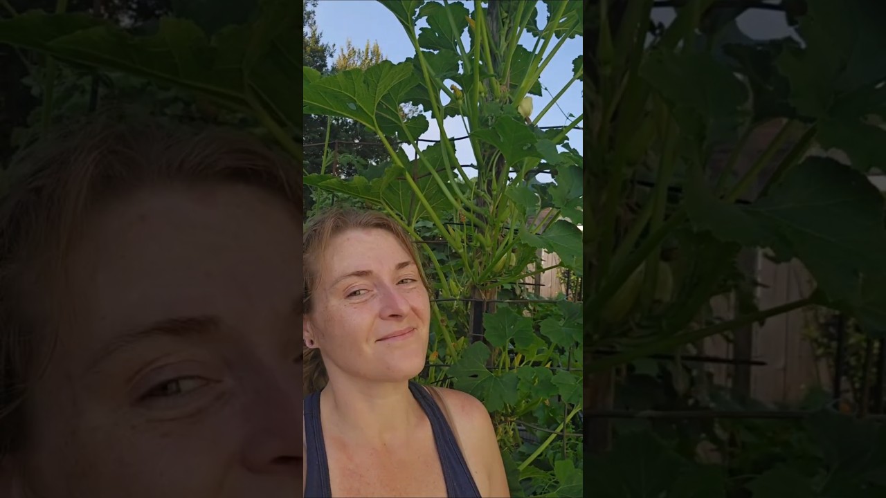 Evening InThe Garden | Impromptu Piddling