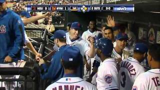 Wright's sac fly