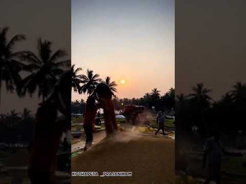 రైతు కుటుంబం అష్టకష్టాలు
