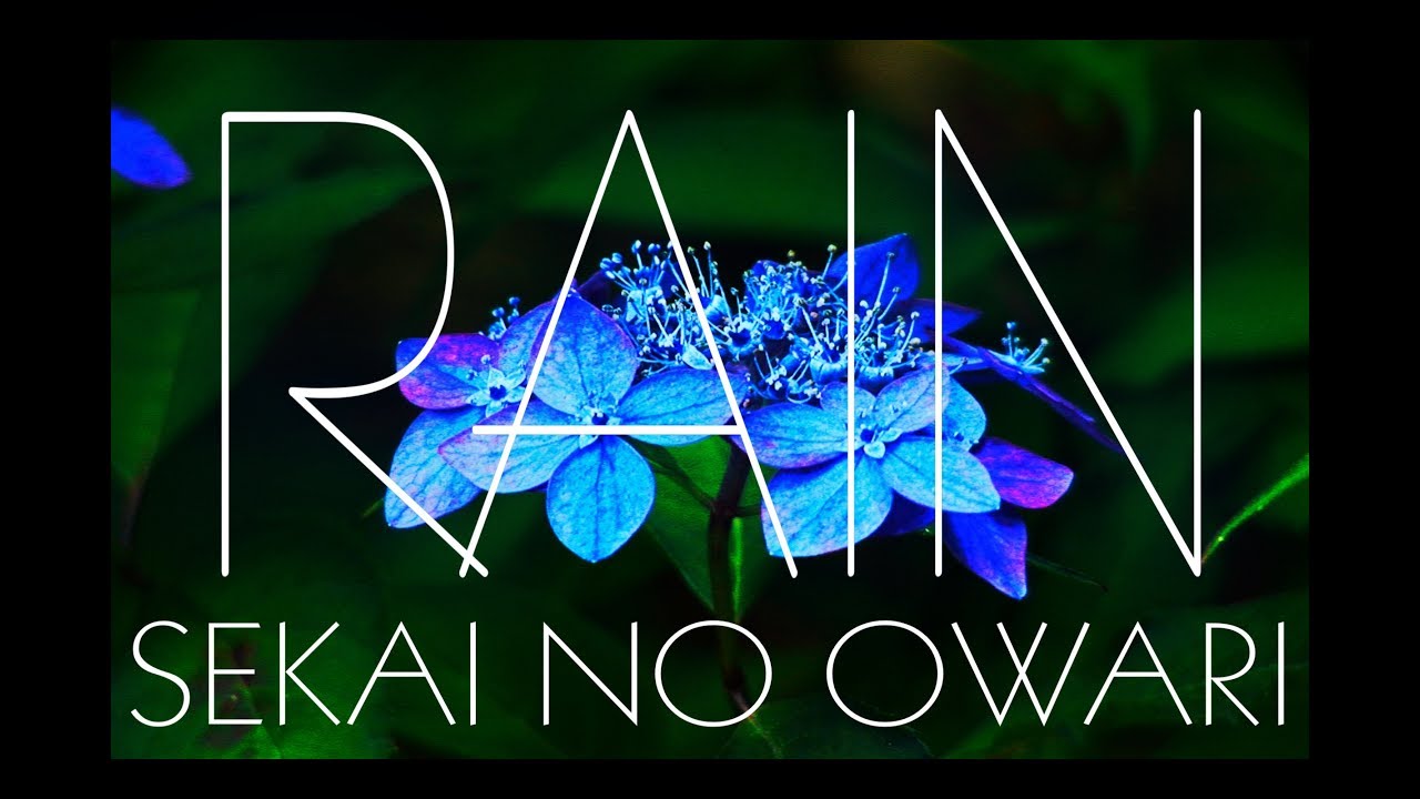 Sekai No Owari Rain 歌詞付き Cover Youtube