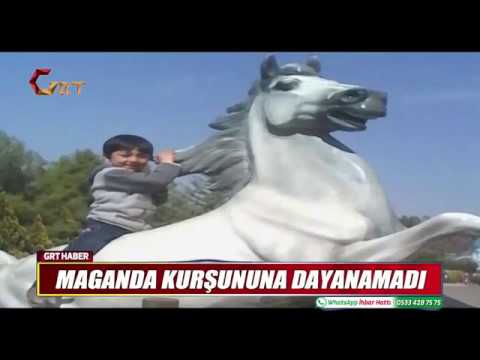 MAGANDA KURŞUNUNA DAYANAMADI