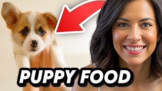 2024 Best Puppy Food: Diamond Naturals for Large Breeds Review